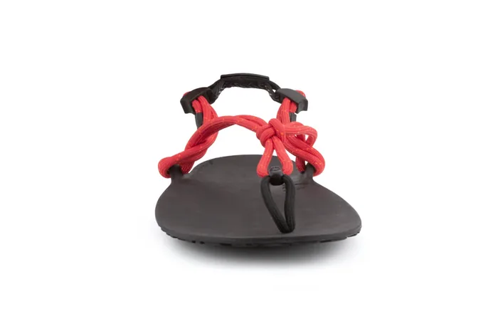 Genesis Sandal - Men (Clearance) - Image 5