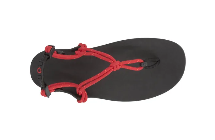 Genesis Sandal - Men (Clearance) - Image 8
