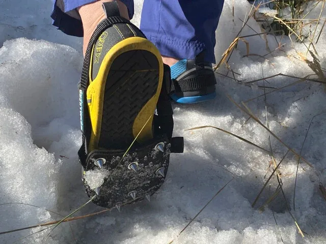 Icewalkers - Image 5