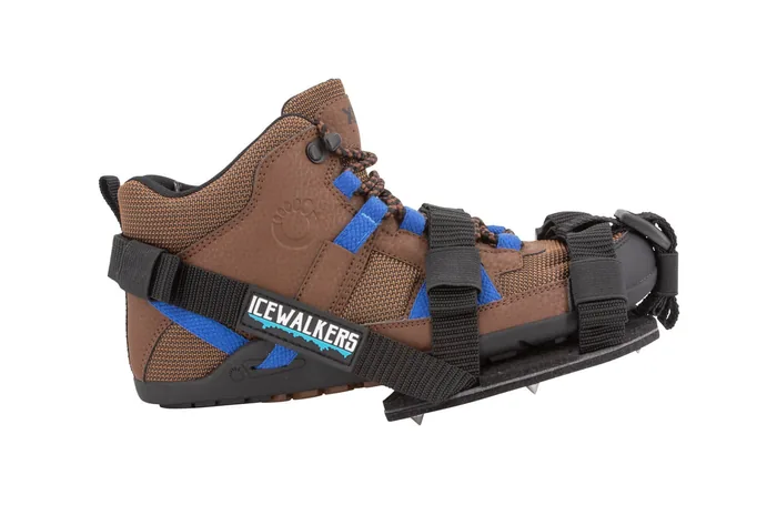Icewalkers - Image 8