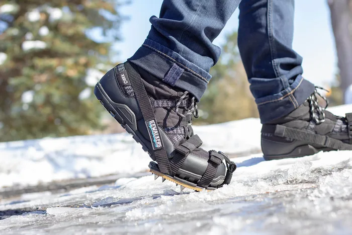 Icewalkers - Image 10